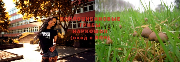 таблы Армянск