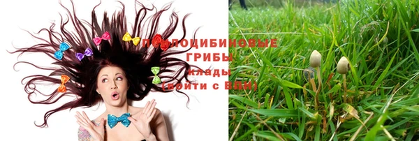 гашишное масло Аркадак